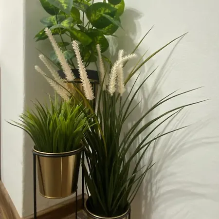 Charming Studio In Center Of Bucharest,ground Floor, Near Old * Bükreş