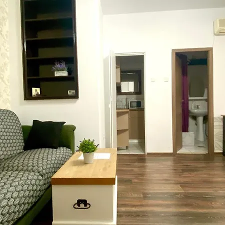 Charming Studio In Center Of Bucharest,ground Floor, Near Old Daire